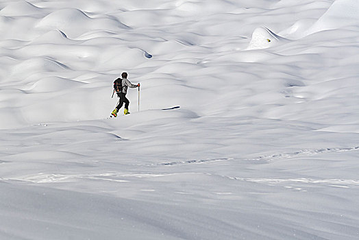 滑雪,登山,雪,山,环境,奥斯塔谷,意大利,欧洲