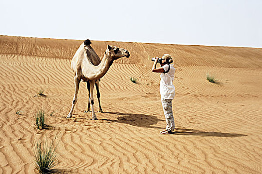 女人,拍照,单峰骆驼