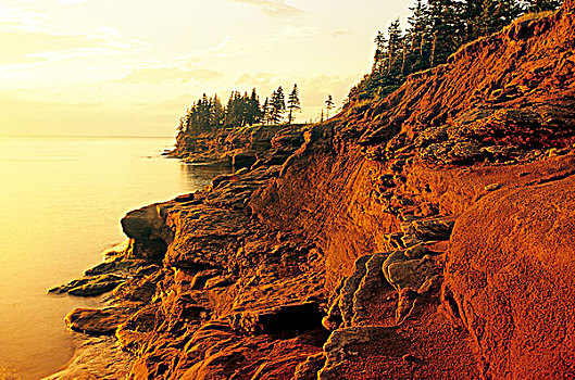 砂岩,悬崖,头部,爱德华王子岛,加拿大