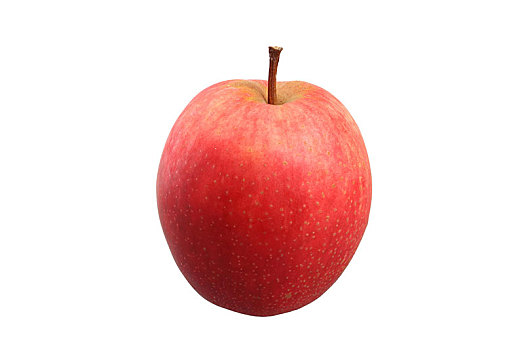 苹果,品种