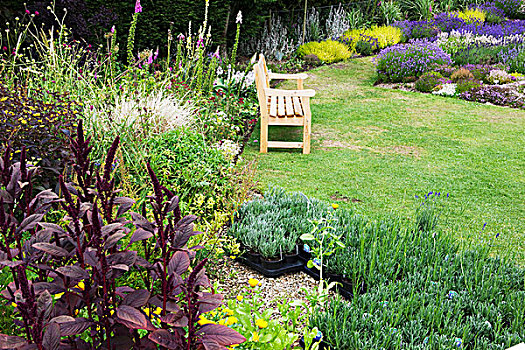 花园,彩色,花坛,小,薰衣草,植物,黑色,花盆