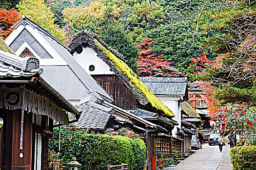 亚洲,日本,京都,岚山,茅草屋顶,房子