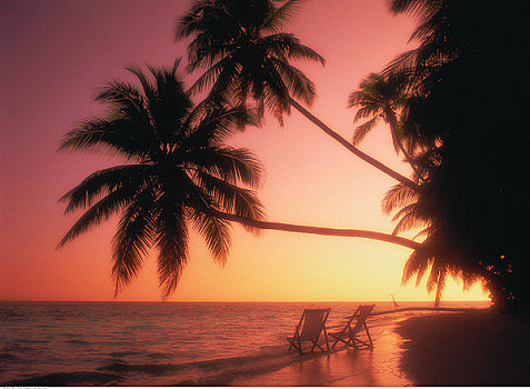 剪影,两个,椅子,棕榈树,海滩,马尔代夫,印度洋