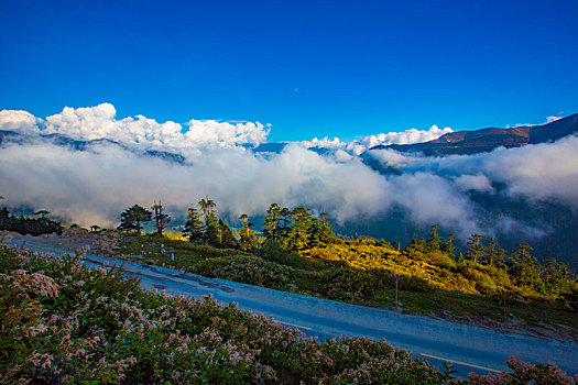 汽车风景