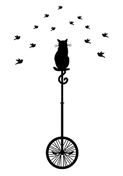 猫,单轮车,鸟
