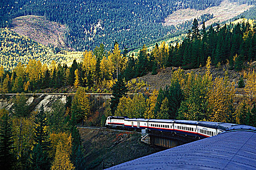 落基山,轨道,旅游列车,不列颠哥伦比亚省,加拿大