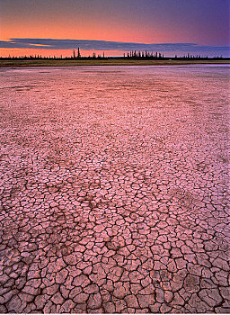 盐原,黎明,伍德布法罗国家公园,艾伯塔省,加拿大
