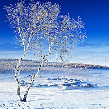 内蒙古冬天坝上风光