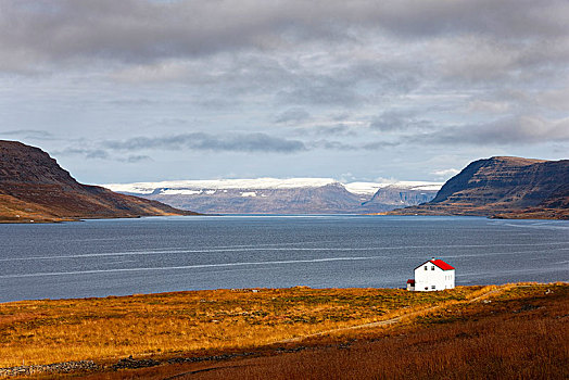 房子,峡湾,冰岛,欧洲