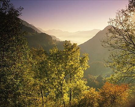 秋天,靠近,山谷,河,瓦莱州,沃利斯,瑞士