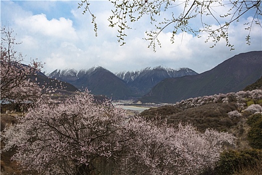 雅鲁藏布江大峡谷风光