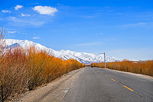 新疆,雪山,公路,蓝天,秋色