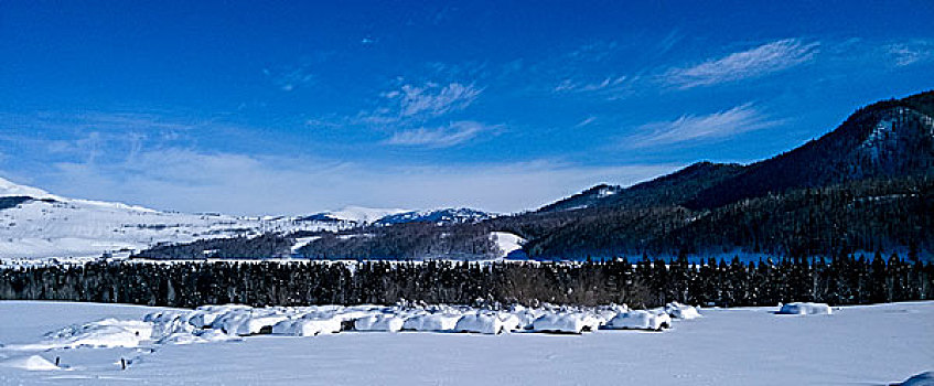 新疆喀纳斯禾木美丽峰雪景