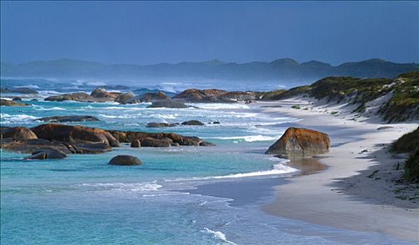 沙滩,海岸线,靠近,奥尔巴尼,西澳大利亚,澳大利亚