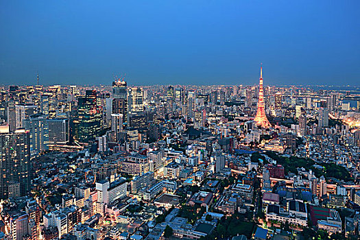 东京塔,城市,天际线,屋顶,夜拍,日本