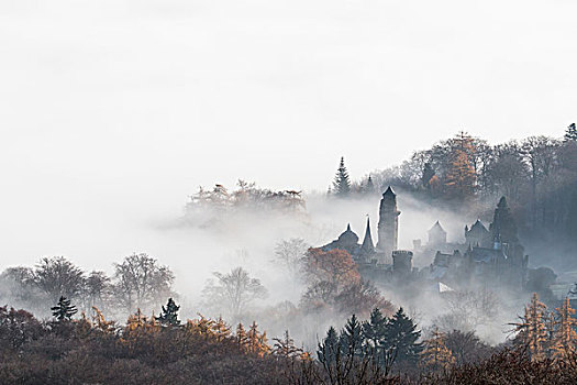 雾,城堡,风景,公园,世界遗产,卡塞尔,黑森州,德国,欧洲