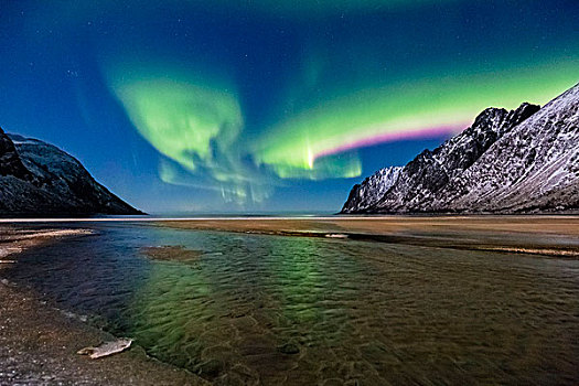 粉色,绿色,北极光,夜空,上方,海滩,挪威,欧洲