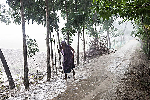 老太太,走,雨,乡村,孟加拉