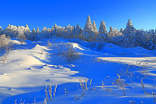 吉林省仙峰国家森林公园雪景