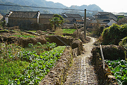 江西景德镇浮梁苍溪古村