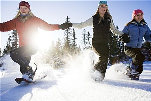 三个女人,年轻,雪鞋,享受,户外,靠近,本垒打,阿拉斯加,冬天