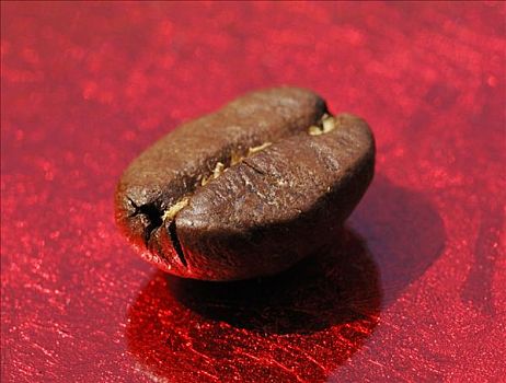 一个,咖啡豆,红色背景