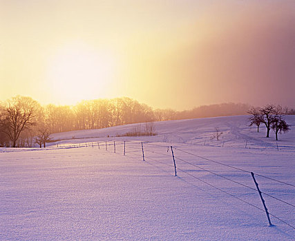 冬天,日出,靠近,巴登符腾堡,德国,欧洲