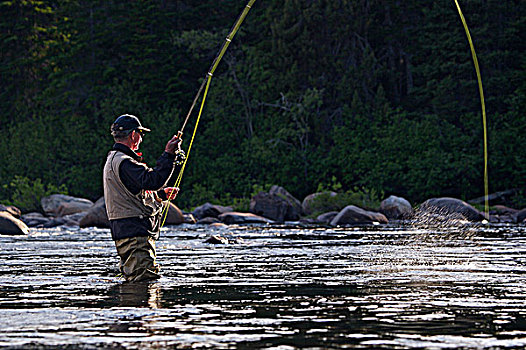 捕鱼者,飞钓,河,瀑布,住宿,南方,拉布拉多犬,纽芬兰,加拿大