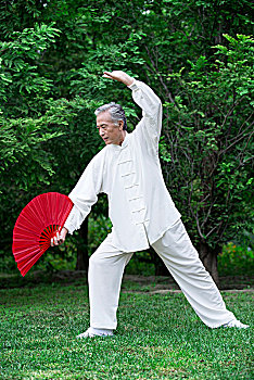 站在草坪上练太极的老年男性