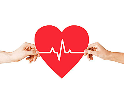 健康,医疗,慈善,概念,特写,情侣,表针,拿着,红色,心,心电图,行列