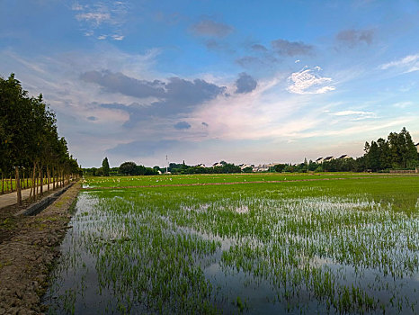 田园风光,乡野