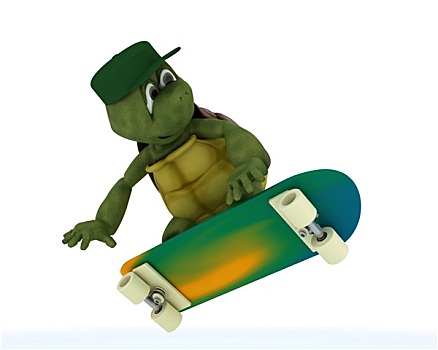 龟,骑,滑板