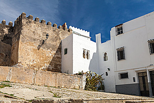 古老,要塞,生活方式,房子,老,局部,丹吉尔,城镇,摩洛哥