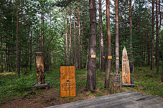 黑龙江省大兴安岭漠河北极村北极沙洲森林失衡的生态展示园