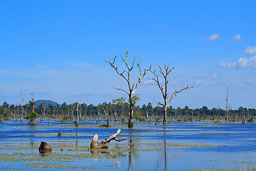 柬埔寨吴哥古城龙蟠水池