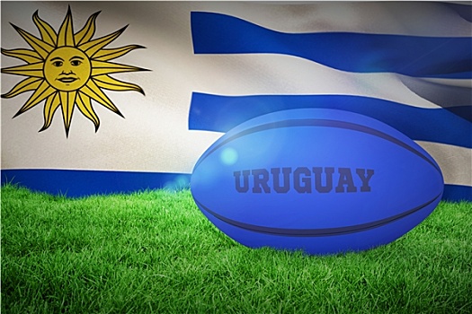 合成效果,图像,乌拉圭,橄榄球