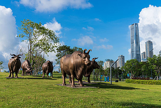 深圳湾公园