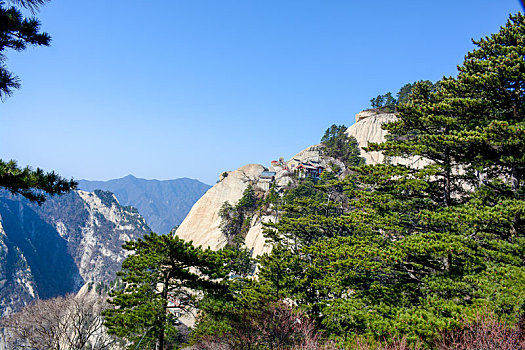 华山春日盛景