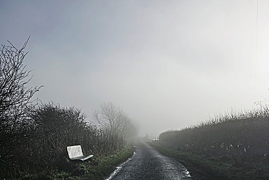 长椅,旁侧,乡间小路,英国