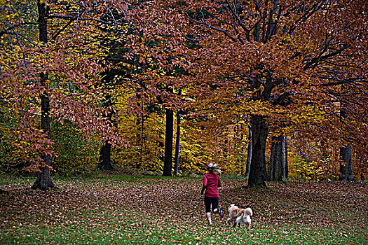 女人,狗,越野跑,魁北克
