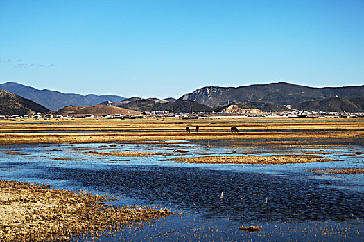 香格里拉风光