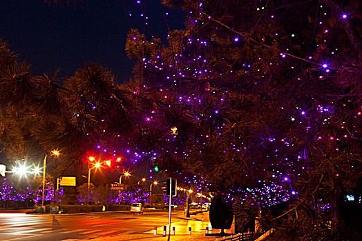 秦皇岛,城市,北戴河,道路,亮化,夜景,建筑