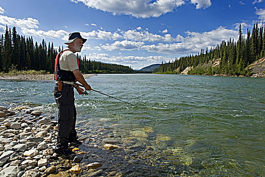 男人,捕鱼,河,清晰,浅水,山峦,后面,育空地区,加拿大