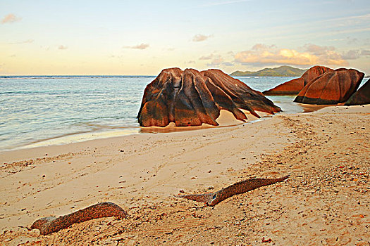 海滩,花冈岩,石头,日出,拉迪格岛,塞舌尔,非洲