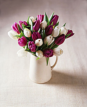 白色,紫色,郁金香,插花,罐