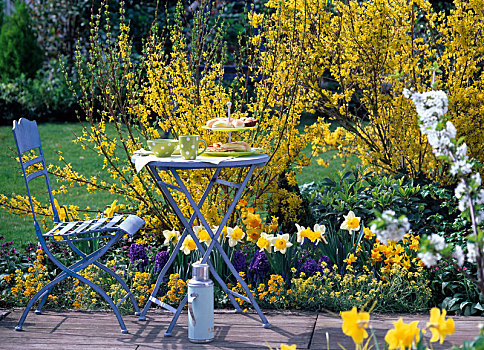 黄色,春天,床,蓝色,座椅