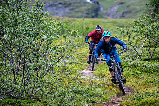 两个男人,山地自行车,乘,小路,峡谷,挪威北部,夏天