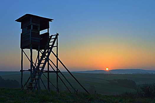 猎捕,日出,奥登瓦尔德,黑森州,德国