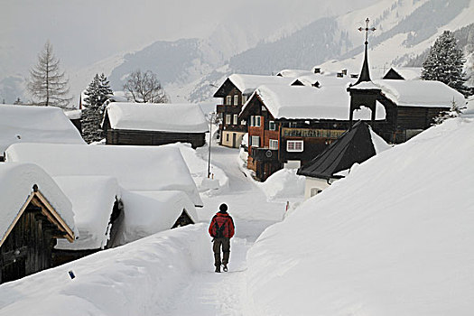男人,漫步,积雪,乡村