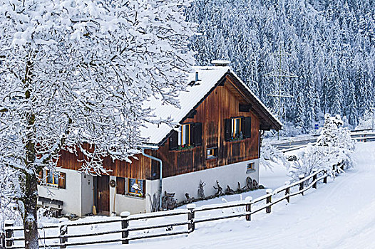 房子,小镇,雪,冬天,瑞士,欧洲